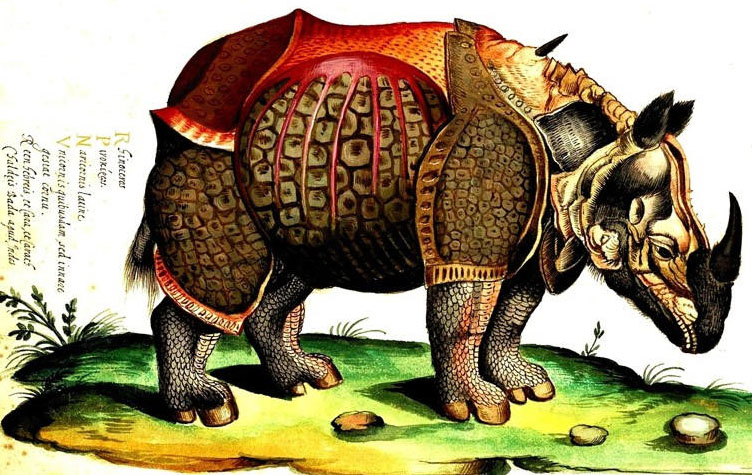 aldrovandi-rhinoceros.jpg